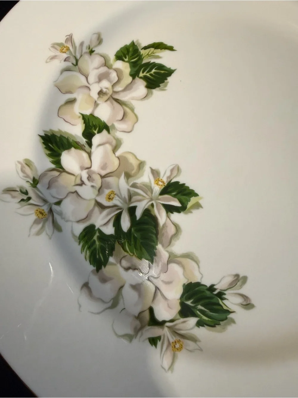 Vintage dinner plate in the 